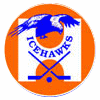 Logo Icehawks Eindhoven (contr.)